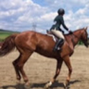 Meet your Posher, Kylie